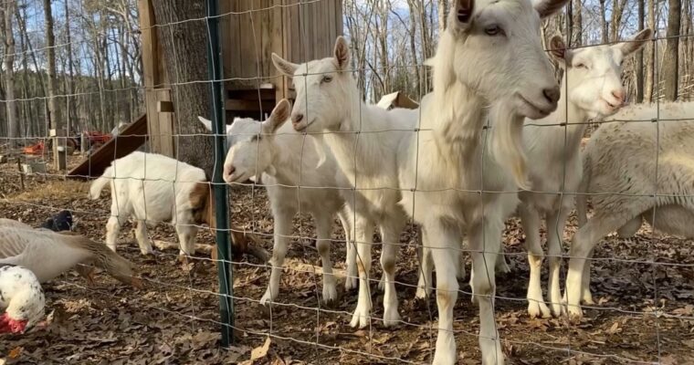 A Crumb & Rind Welcome