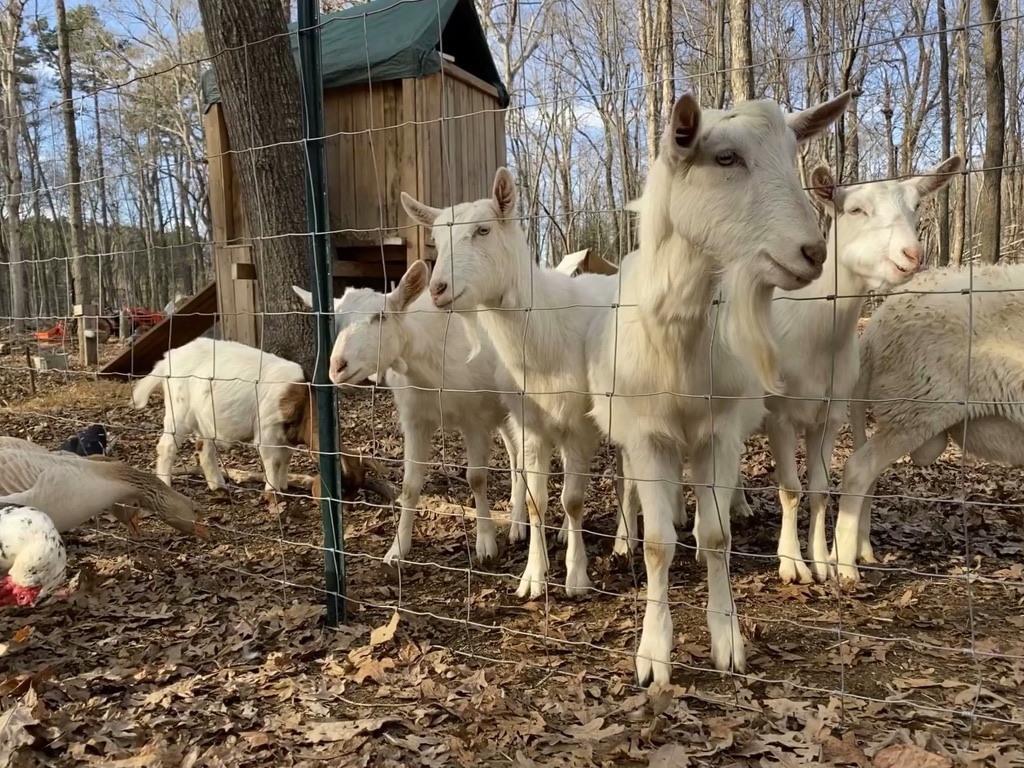 A Crumb & Rind Welcome