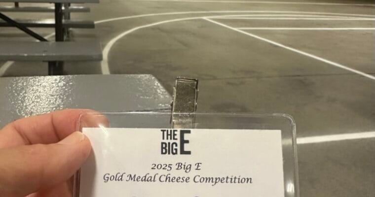 Cheese Judge