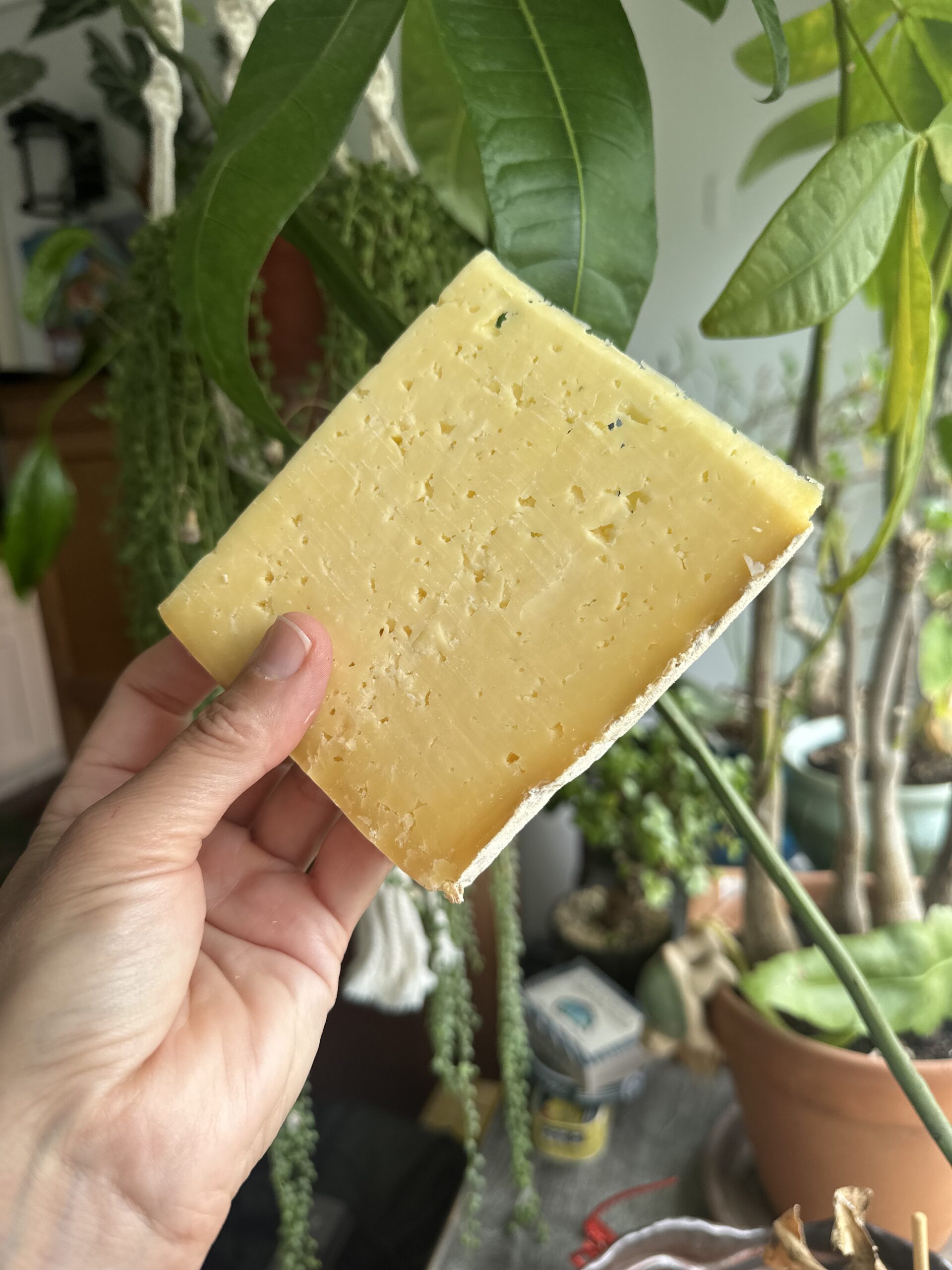 Yoredale Wensleydale