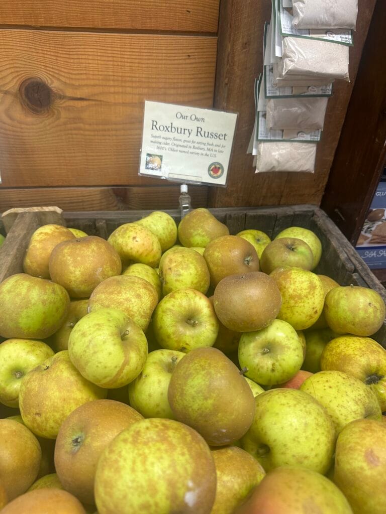 Roxbury Russett Apples