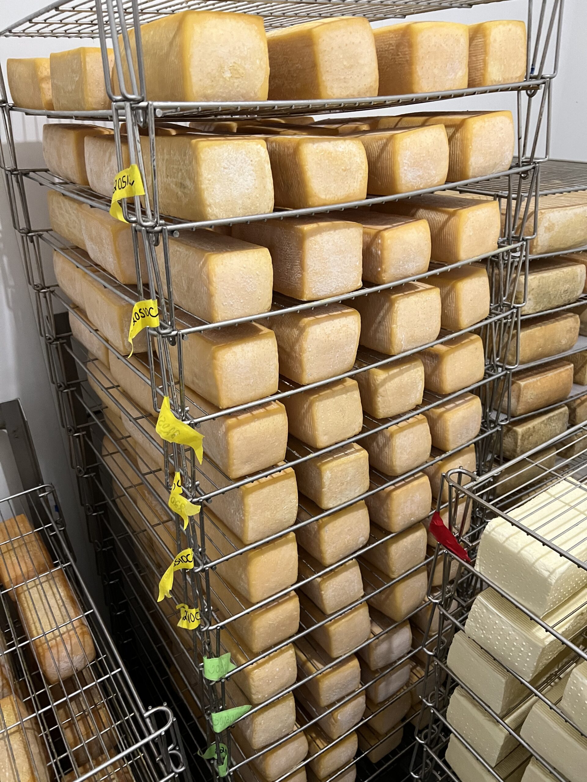 Washed Rind Cheese